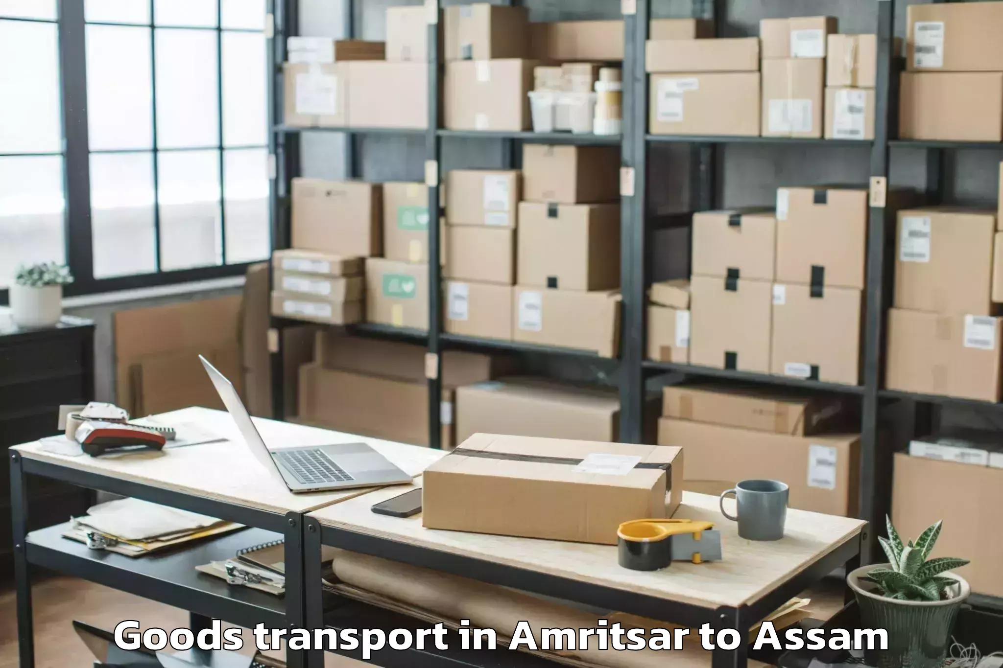 Leading Amritsar to Sonabarighat Goods Transport Provider